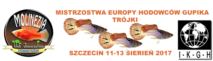 Konkurs Gupika Szczecin