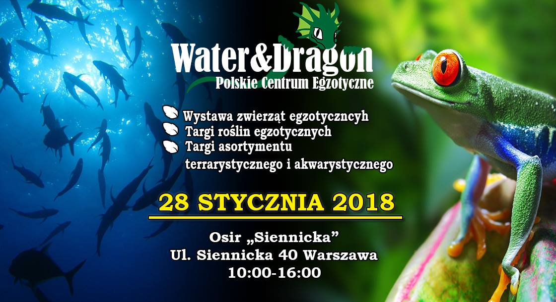 Water&Dragon - Warszawa