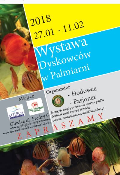Wystawa Dyskowców w Palmiarni  - Gliwice
