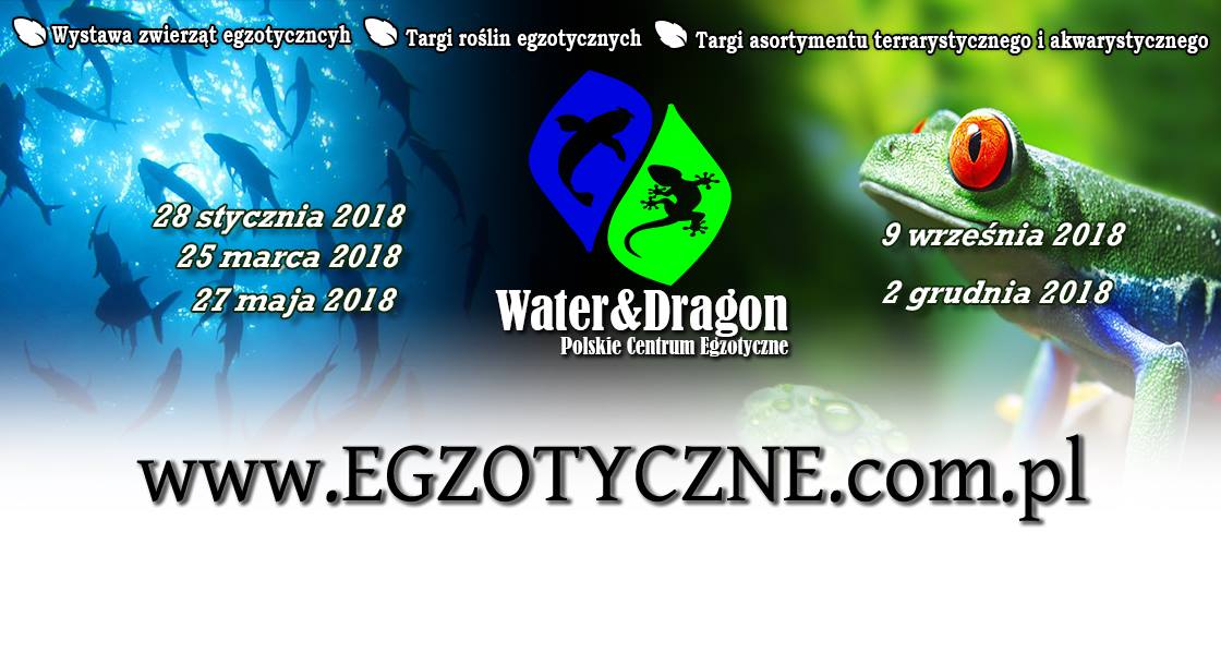 Water&Dragon - 09 września 2018 r.