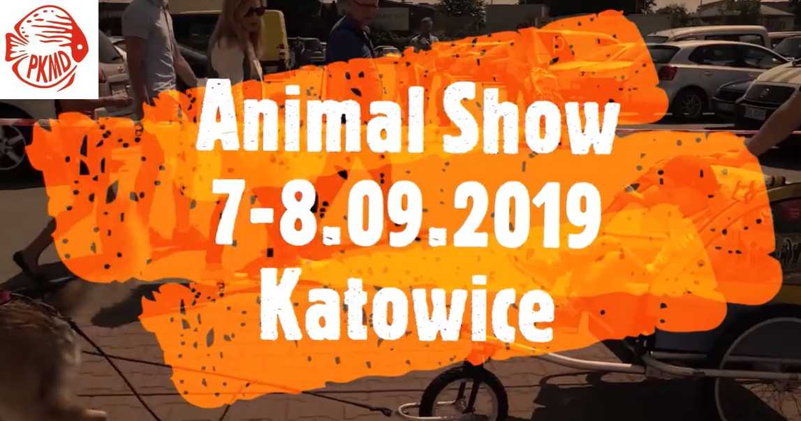 Animal Show Katowice